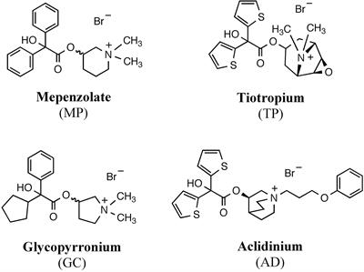 Identification of Mepenzolate Derivatives With Long-Acting Bronchodilatory Activity